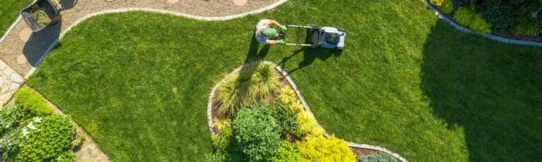 Max Yardcare photo 6