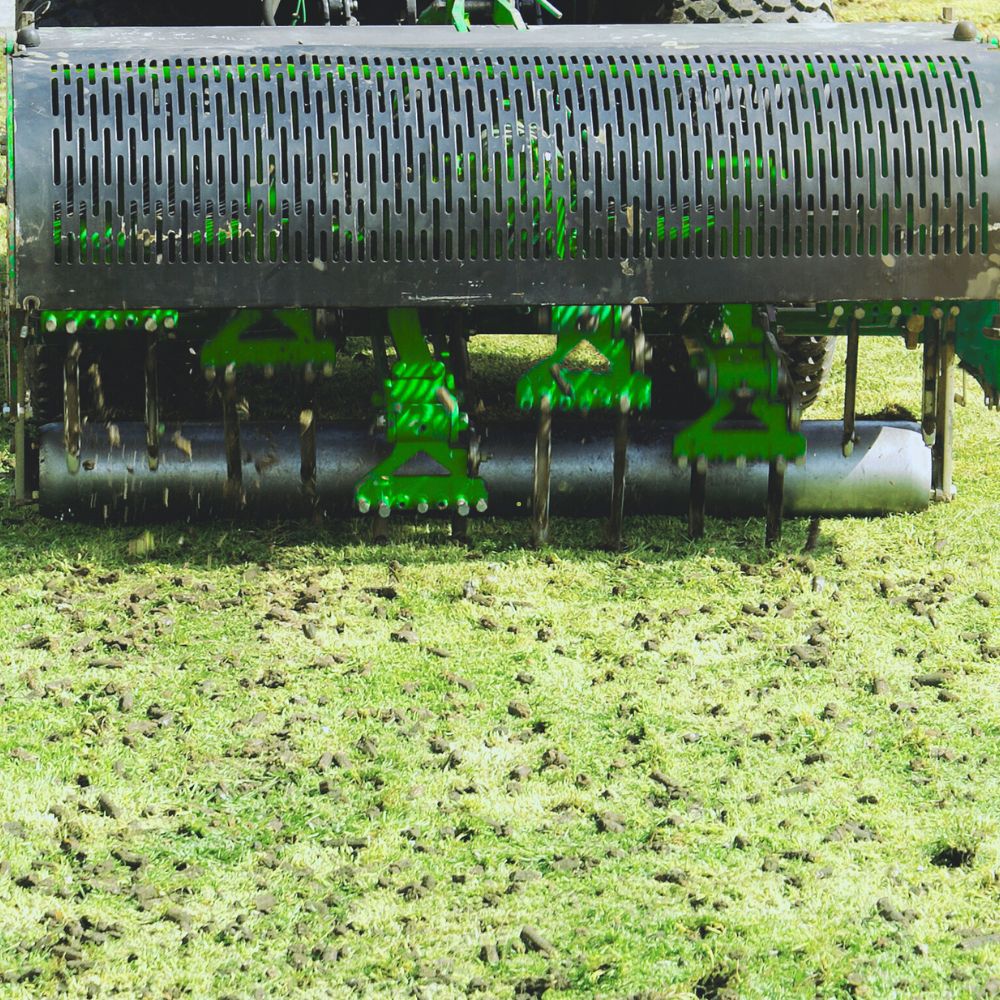 Lawn Aeration
