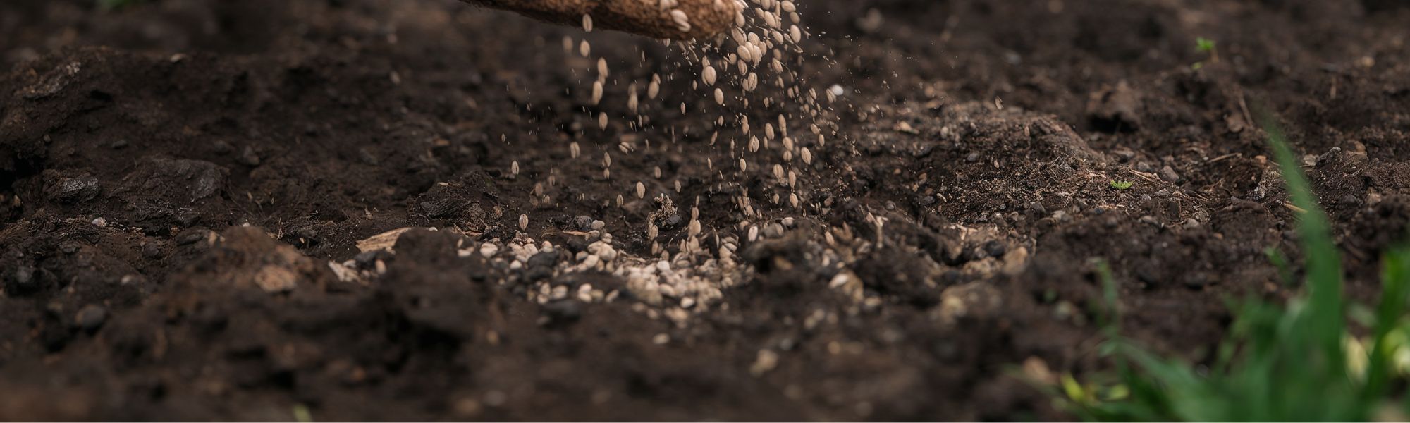 soil fertilized by hand