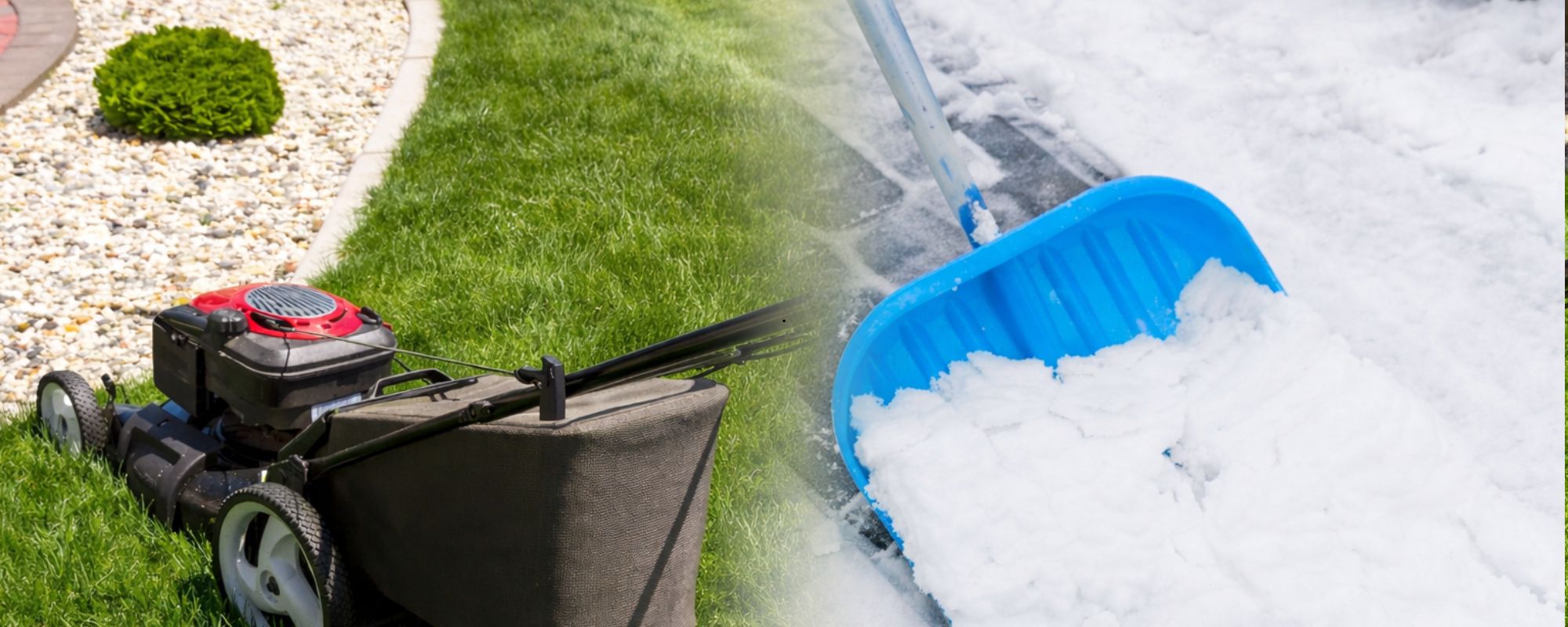 Summer + Winter Program