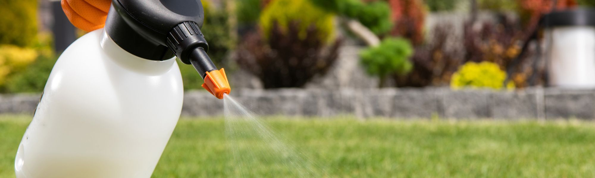 Weed Control Spraying