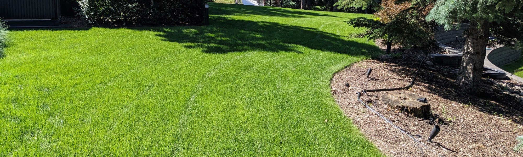 Lawn Care Edmonton - Max Yardcare (1)
