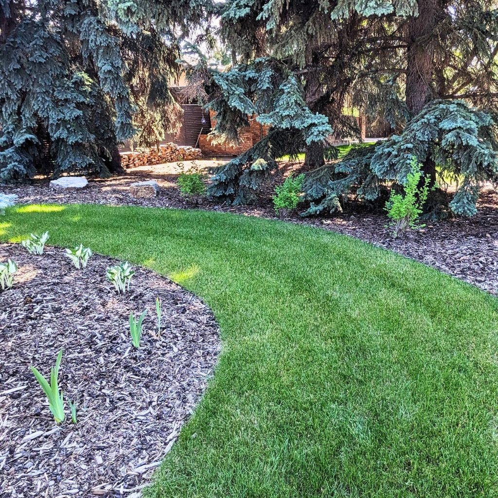 Lansacped lawn with mulch and perennials